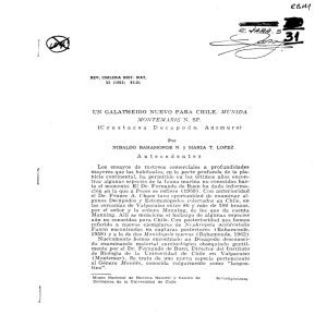 55 (1962) 85.91 UN GALATHEIDO NUEVO PARA CHILE. MUNIDA
