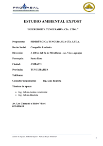 estudio ambiental expost - Siderurgica Tungurahua. Fundicion