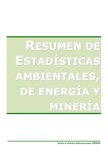 Estadísticas Ambientales, de Energía y Minería