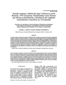 Tamaño corporal y hábitat del nape Callianassa garthi Retamal