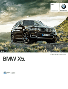 Ficha Técnica BMW X5 xDrive50iA Security Plus Automático 2017