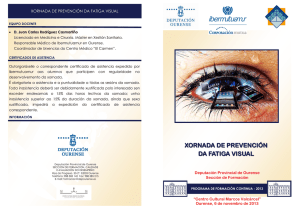 xornada de prevención da fatiga visual