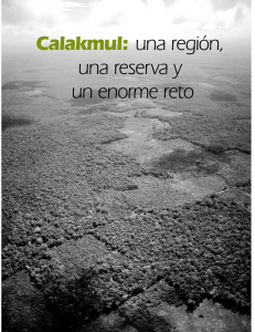Calakmul: una región, una reserva y un enorme reto