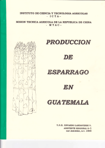 PRODUCCION DE ESPARRAGP - Instituto de Ciencia y