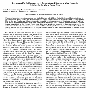 Recuperación del bosque en el Premontano Húmedo y Muy
