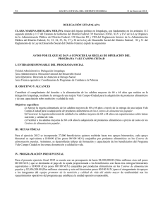 DELEGACI&Oacute;N IZTAPALAPA CLARA MARINA BRUGADA MOLINA