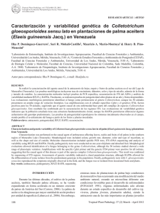 Characterization and genetic variability of Colletotrichum