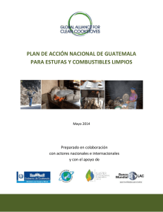 plan de acción nacional de guatemala para estufas y combustibles