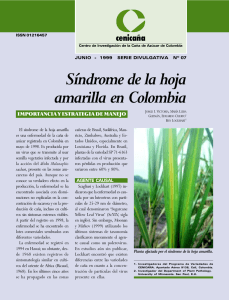 Síndrome de la hoja amarilla en Colombia