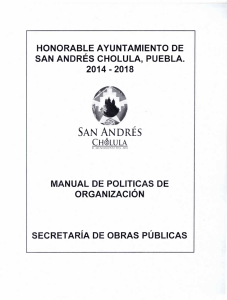 Manual de Políticas de Organización de la Secretaria de Obras