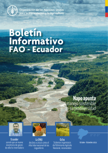 Boletín Informativo FAO- Ecuador Octubre
