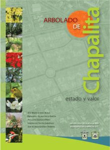 Arbolado de Chapalita - Centro Universitario de Ciencias Biológicas