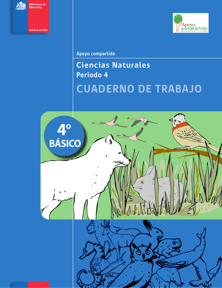 Cuaderno De Trabajo Ministerio De Educaci n De Chile