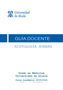 Grado en Medicina - Universidad de Alcalá