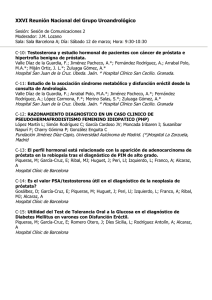 PDF de las sesiones