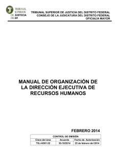 MANUAL DE ORGANIZACIÓN DE LA DIRECCIÓN EJECUTIVA DE