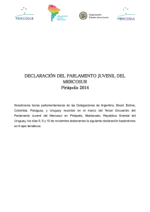 Declaración del Parlamento Juvenil del MERCOSUR