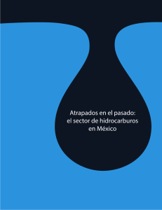 el sector de hidrocarburos en México.