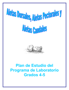 Plan de Estudio del Programa de Laboratorio Grados 4-5