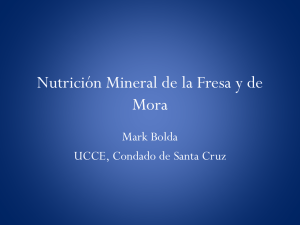 Nutrición Mineral de la Fresa y de Mora
