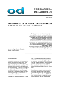 VACA LOCA EN CANADA REPORTE ESPECIAL DESDE OTTAWA