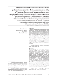 Descargar este archivo PDF - Revista peruana de psicometria