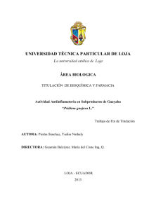 UNIVERSIDAD TÉCNICA PARTICULAR DE LOJA La universidad