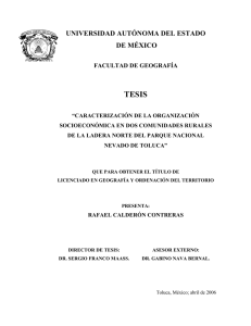 Tesis - Universidad Autónoma del Estado de México