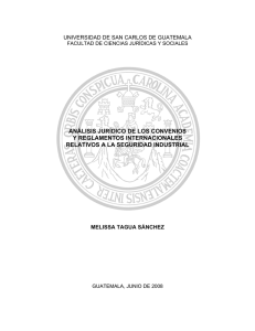 análisis jurídico de los convenios y reglamentos internacionales