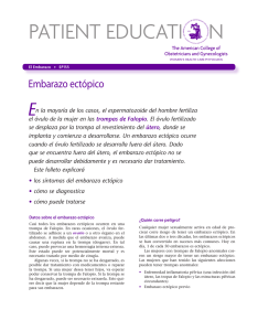 Patient Education Pamphlet, SP155, Embarazo ectópico