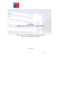 Informe fortificación de harinas 2010