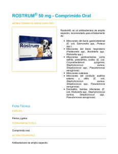 ROSTRUM 50 mg - Comprimido Oral