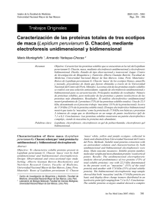 Caracterización de las proteínas totales de tres ecotipos de maca