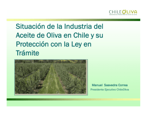 Situación de la Industria del Aceite de Oliva en Chile y su Protección