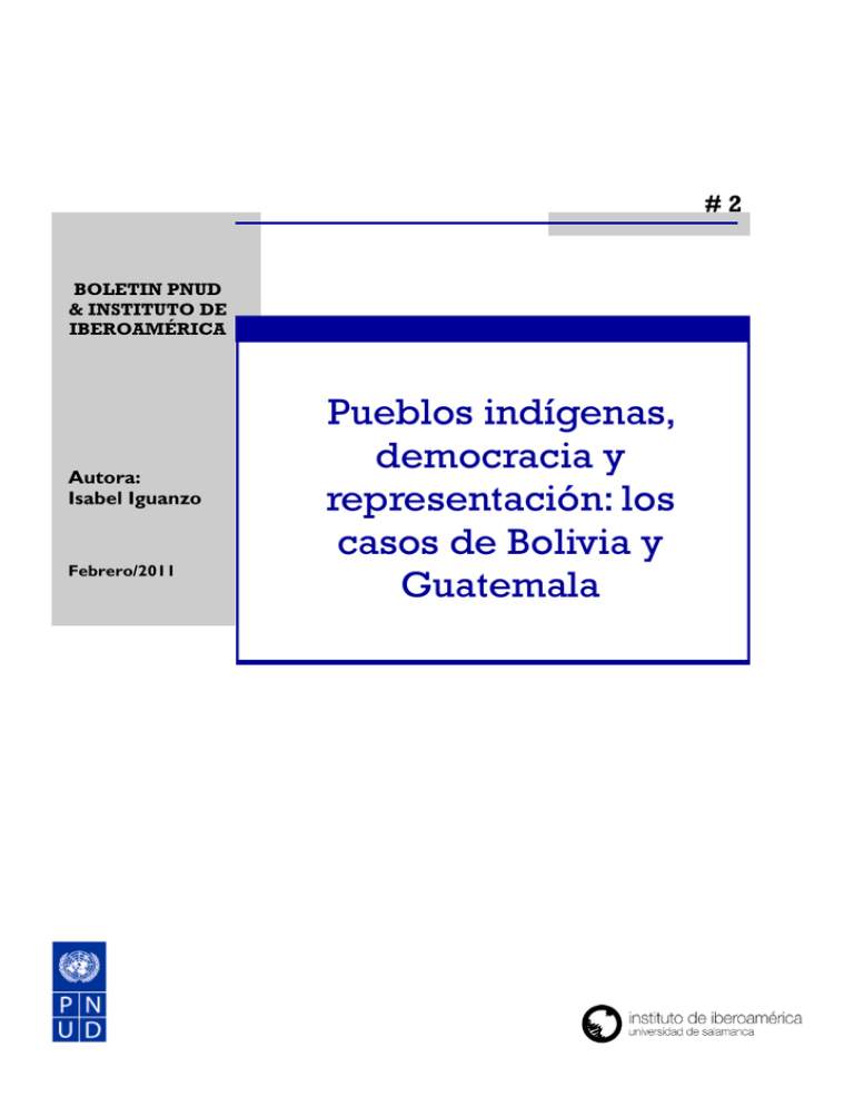 Pueblos indígenas democracia y representación