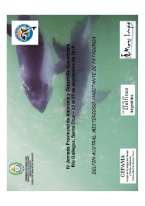 delfin austral. misterioso habitante de patagonia