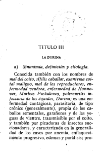 TITULO III
