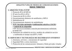 I. ARQUITECTURA TCP/IP 1. Protocolo IPv6 (ICMPv6) 2. IP móvil en
