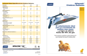 LBW Infraconic poultry Spanish Brochure 1206.qxd