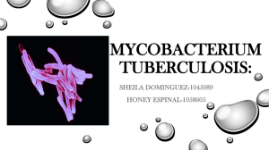 Mycobacterium tuberculosis: