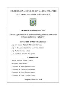 Ver Documento - Universidad Nacional de San Martín