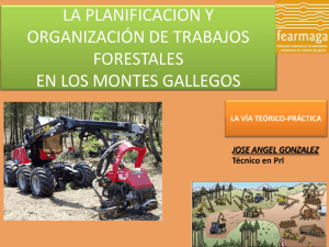 A planificación e organización dos traballos forestais nos