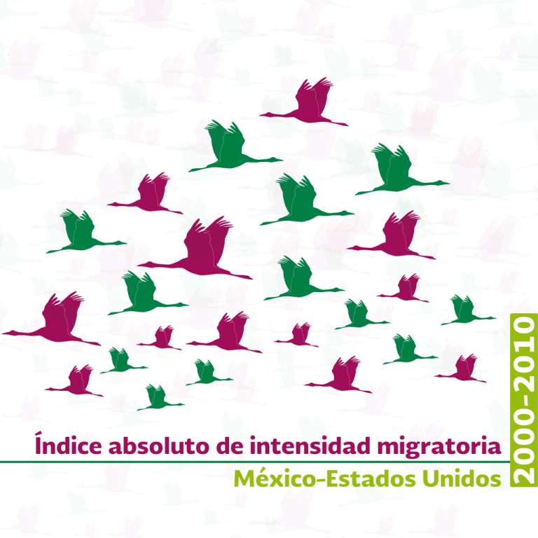 descargar-pdf-observatorio-de-migraci-n-internacional