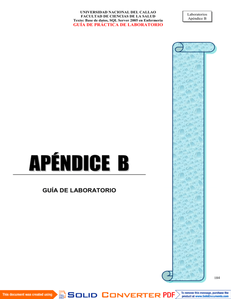 14 Apendice B - Universidad Nacional Del Callao.