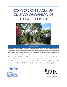 Duke_CGGC_Cacao Organico_Peru_Dic_2012