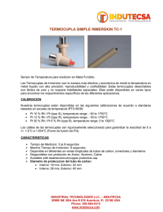 Termocupla Simple Inmersion TC-1