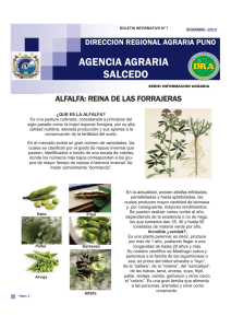 AGENCIA AGRARIA SALCEDO - Dirección Regional Agraria Puno