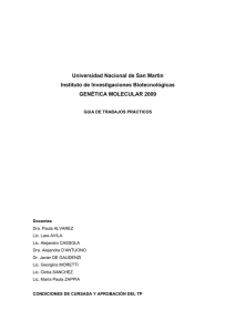 Universidad Nacional de San Mart&iacute;n Instituto de Investigaciones