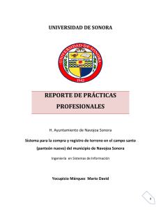 reporte de prácticas profesionales