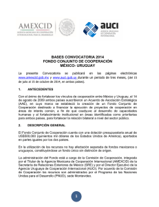 BASES CONVOCATORIA 2014 FONDO CONJUNTO DE